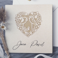 Laser collection otváracie