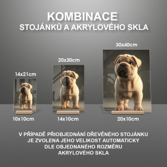 Čínský Shar-Pei animovaný