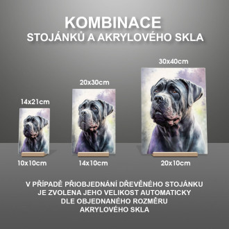 Cane Corso akvarel