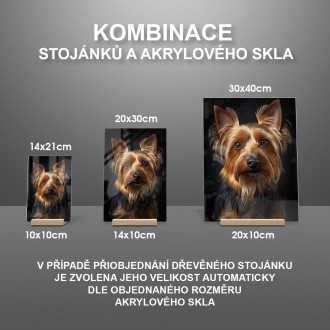 Silky Terrier realistic