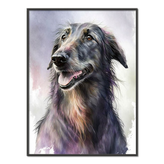 Škótsky deerhound akvarel