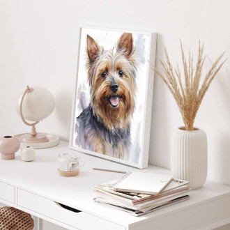 Silky Terrier akvarel