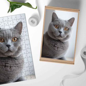 Drevené puzzle Britská krátkosrstá mačka realistic