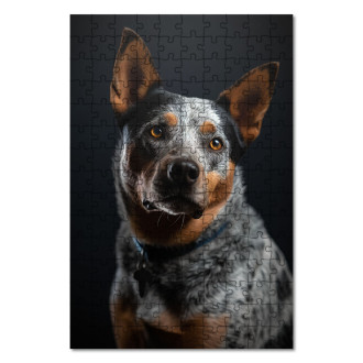Drevené puzzle Austrálsky dobytkársky pes realistic
