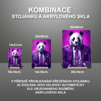 Akrylové sklo panda vo fialovom obleku a kravate