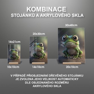 Akrylové sklo Roztomilá žabka